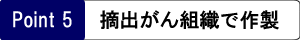 摘出がん組織で作製