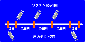 投与スケジュール