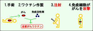 がん抗原を有効利用